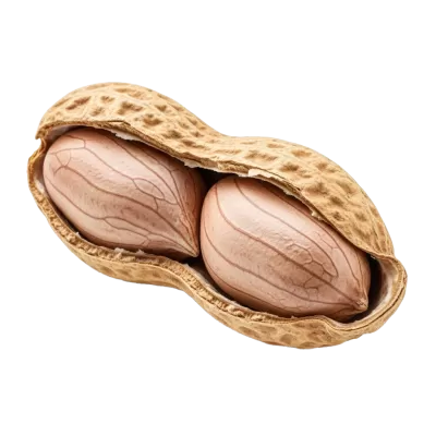 Imagen PNG para descargar